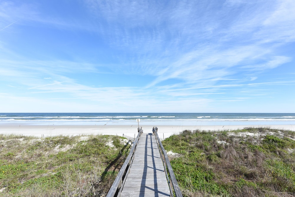 Sand Dollar I 504 - photo 35