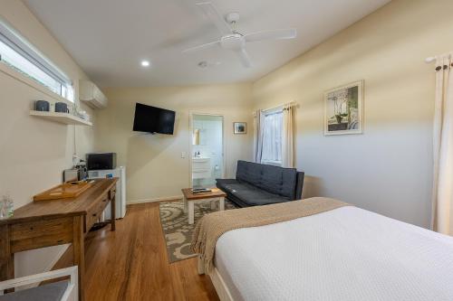 Mullumbimby Studio — Mullumbimby