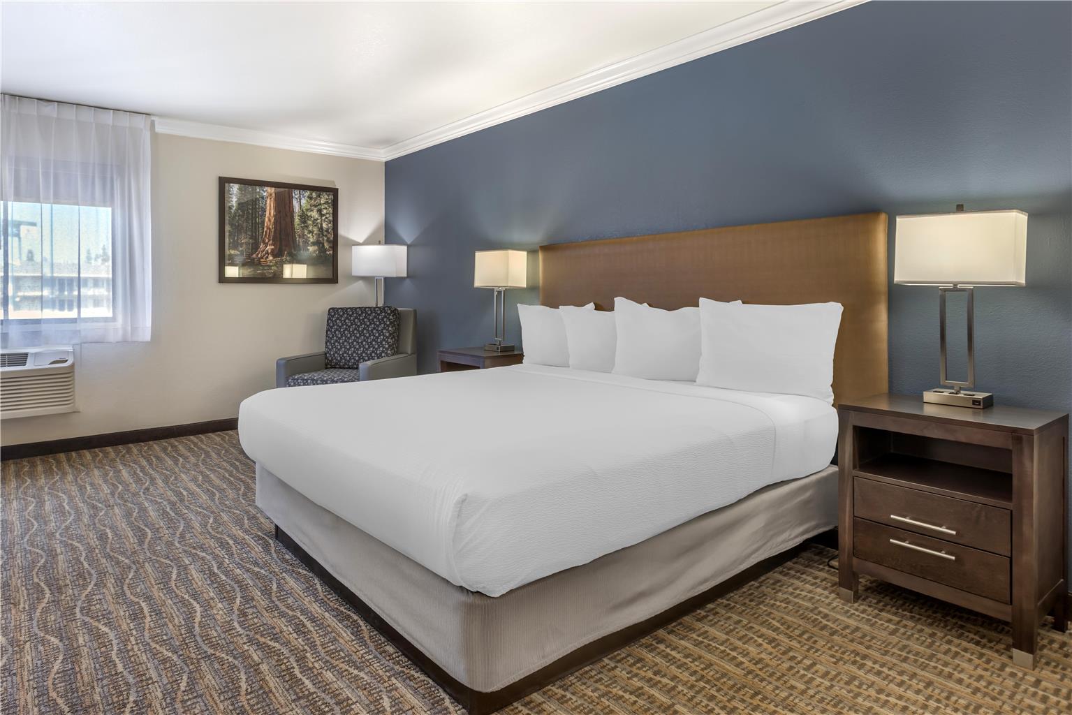 Best Western Town & Country Lodge - photo 19