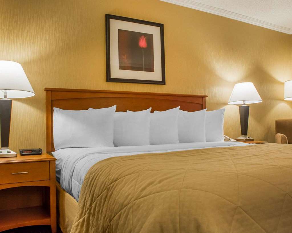 Clarion Hotel & Suites Riverfront - photo 10
