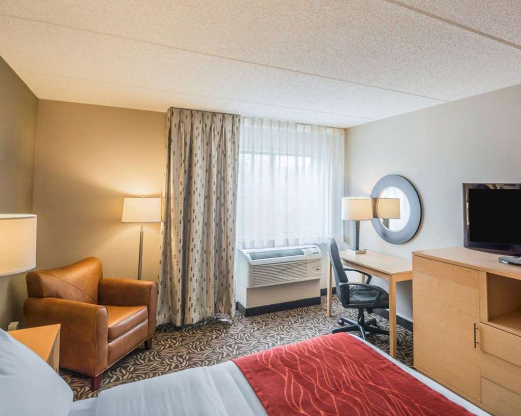 Comfort Inn NYS Fairgrounds - photo 20