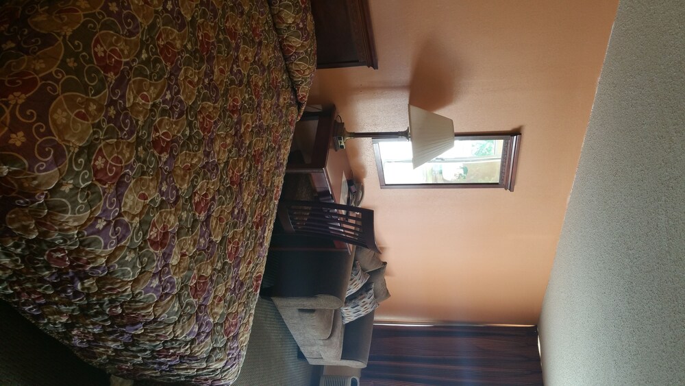 Sunbelt Lodge Motel - photo 12