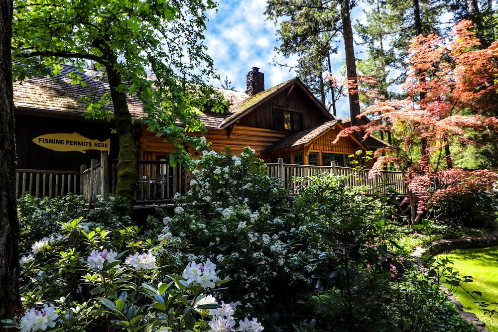 Weasku Inn - photo 87