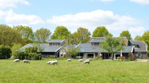 Appartement Hoeve aan de Zuurlanderes Stal 2 — 4-Star Luxury Hotel in Diever, Netherlands