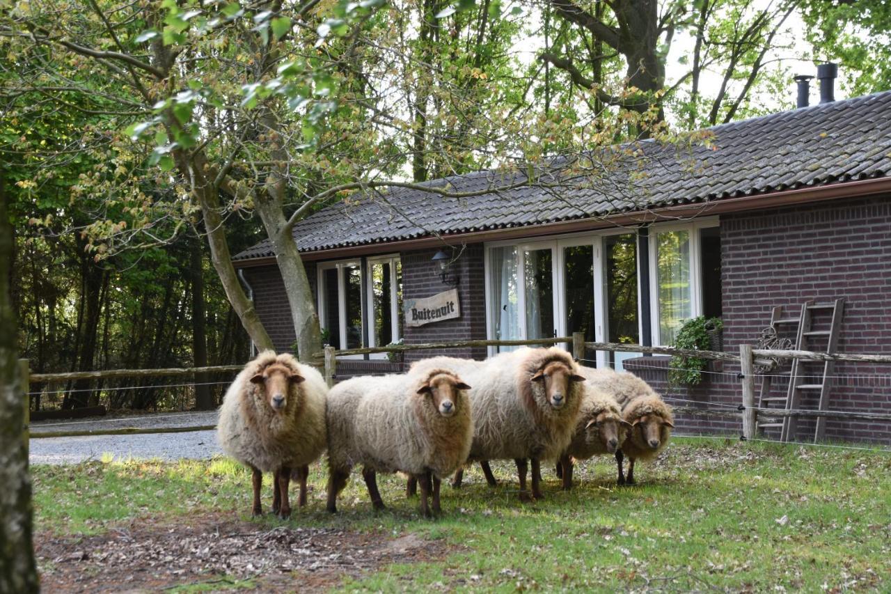 Buitenuit - carbon neutral hotel in Boxtel