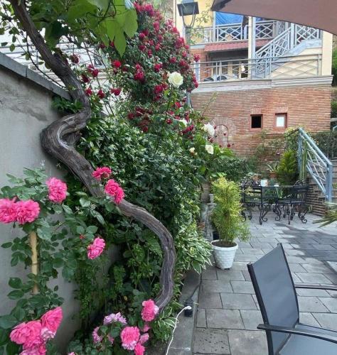 Apartment Botanikuri 15