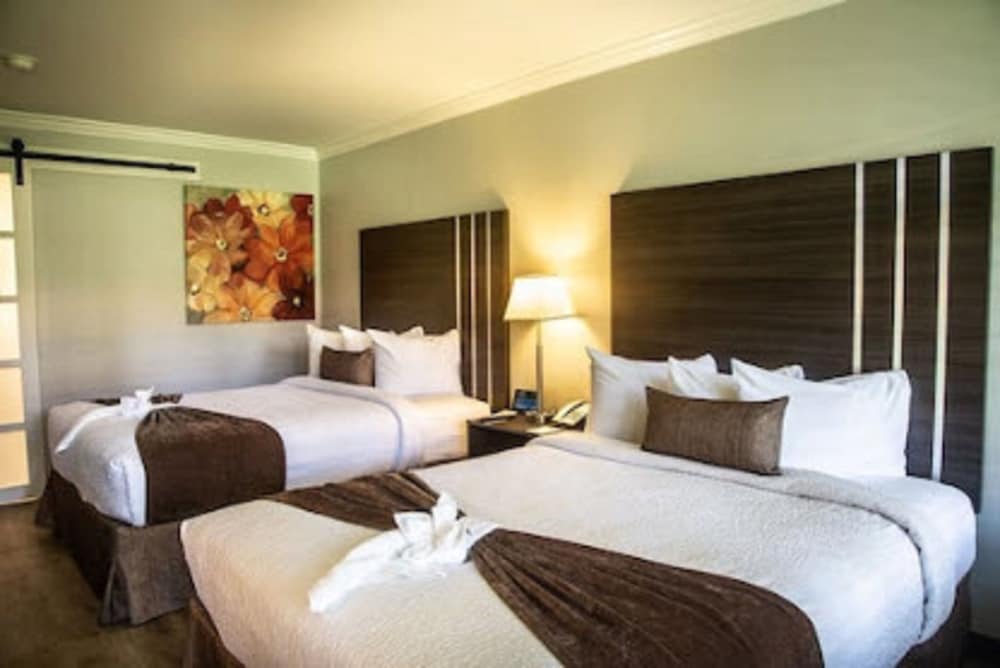 Palm Garden Hotel - photo 8