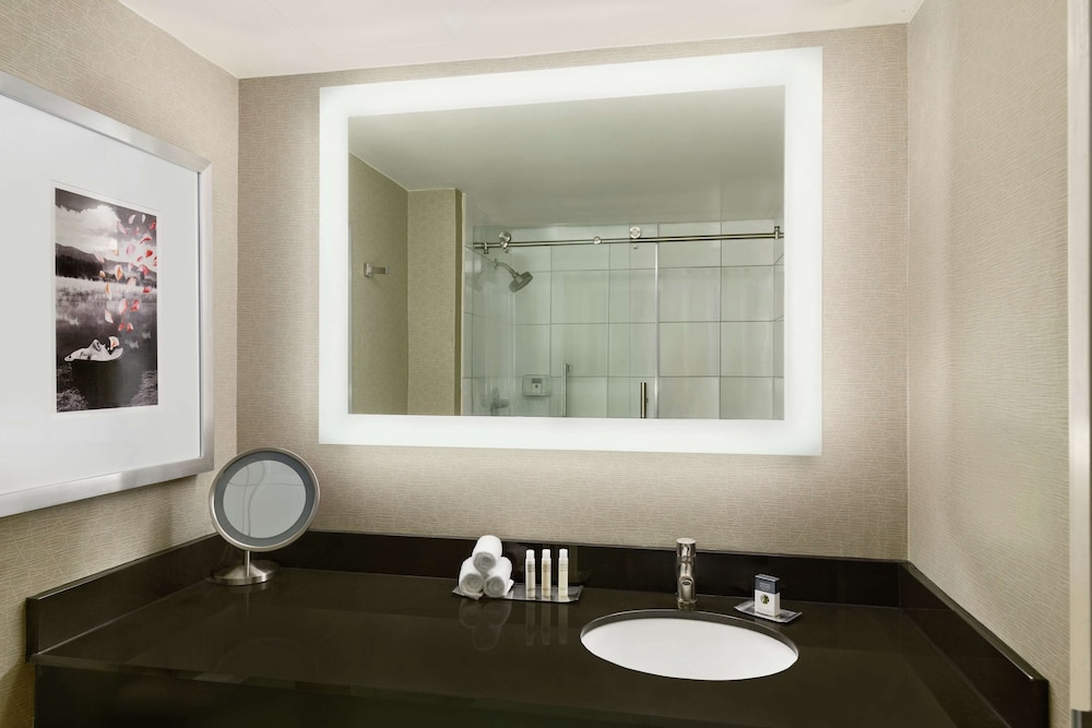 DoubleTree by Hilton Detroit Novi - photo 13