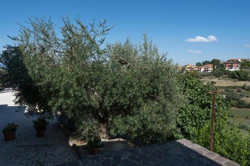 La Casa di Sara — Citta Della Pieve — photo 4