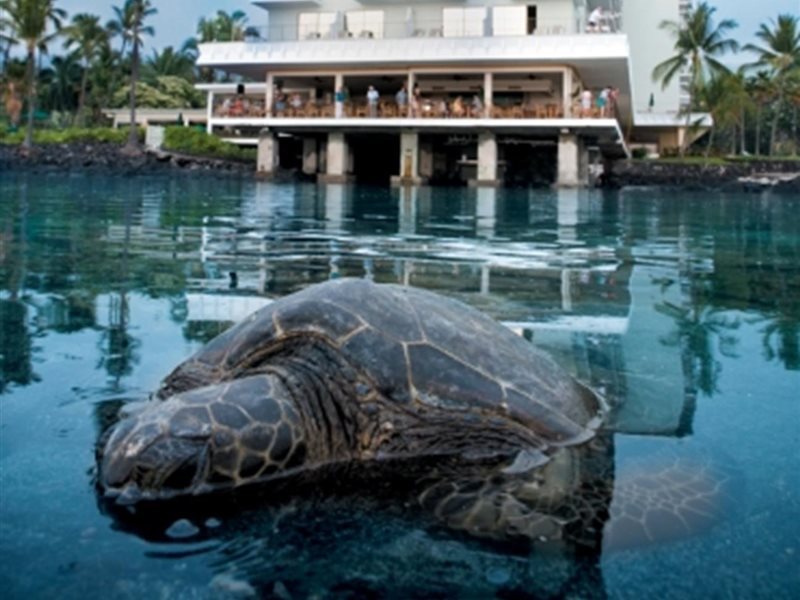 Keauhou Resort - photo 18