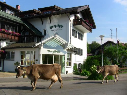 Bergidyll in Oberstdorf, Germany