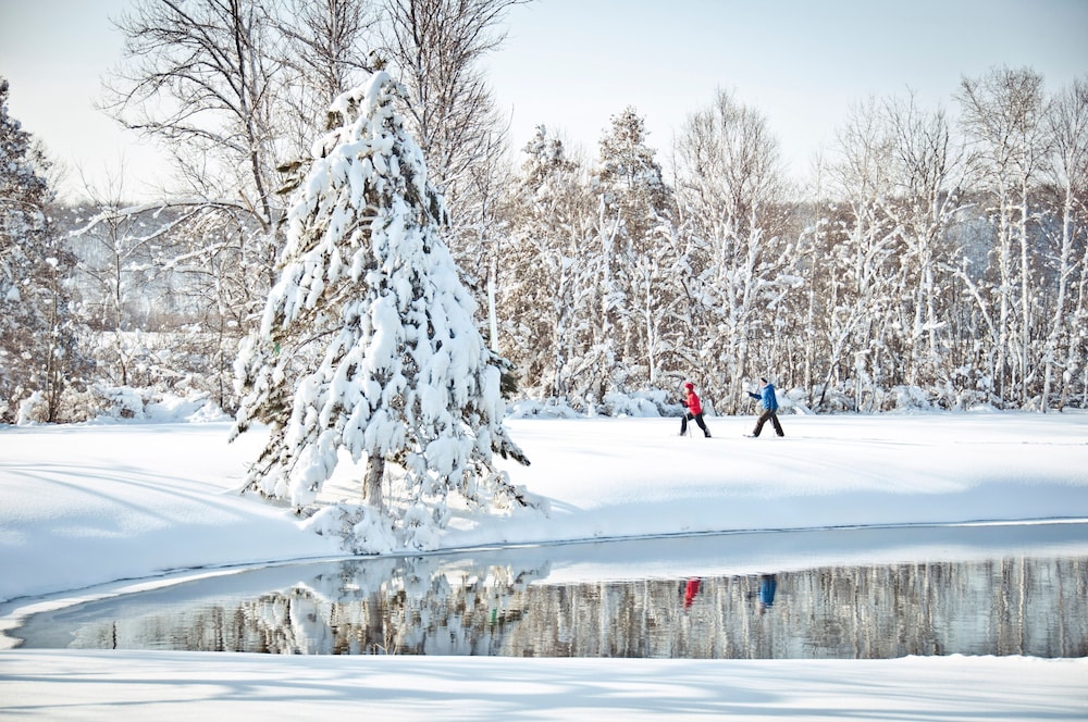 Grand Traverse Resort And Spa - photo 53