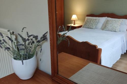 Lavender House in Kiparissia — 4-Star Luxury Hotel in Kyparissia, Greece