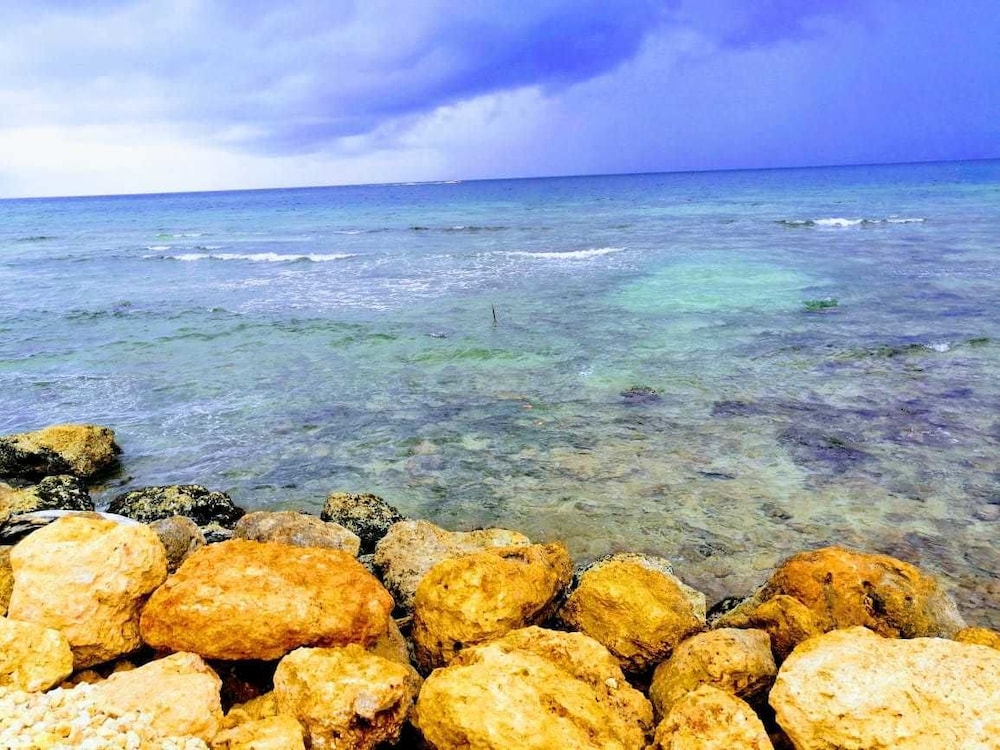 Bongo Beach Baru — Cartagena — photo 3