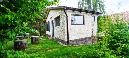 Forest Hide Tiny House 21074821 — Covasna