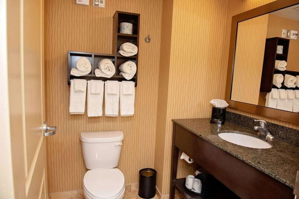 Hampton Inn & Suites Bradenton Downtown Historic District - photo 5