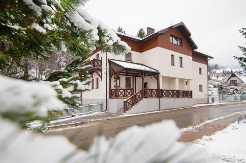 Antracyt in Krynica-Zdroj, Poland