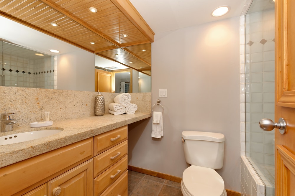 The St. Regis Aspen Resort - photo 65