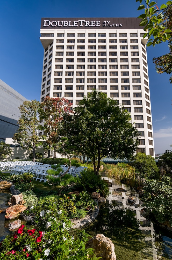 מראה חיצוני