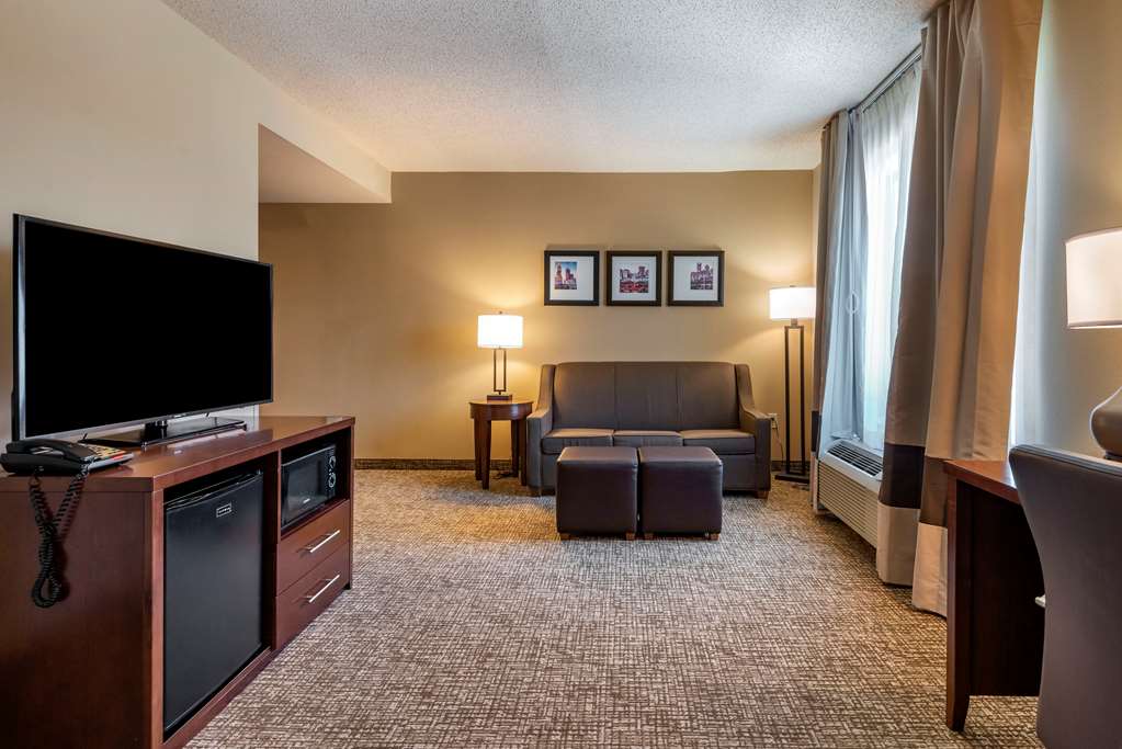 Comfort Suites Huntersville near Lake Norman - photo 39
