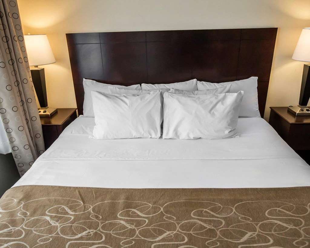 Comfort Suites University Area Notre Dame South Bend - photo 25