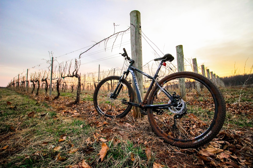 Albemarle Estate at Trump Winery - photo 48