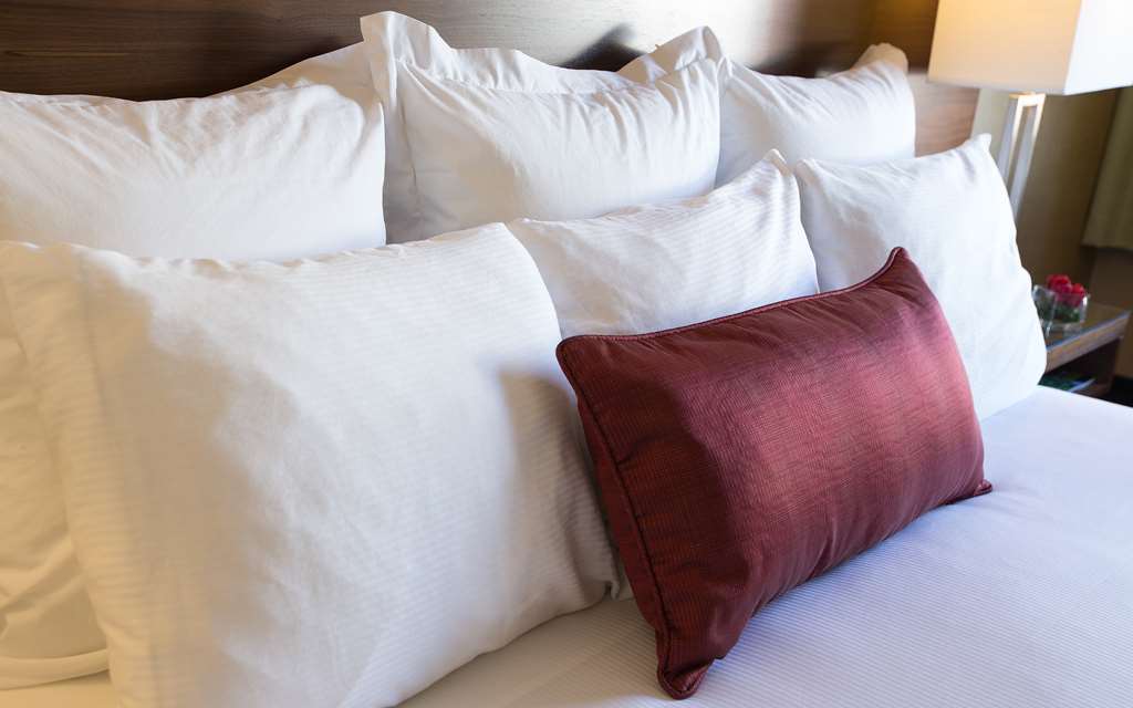 Coast Gateway Hotel - photo 14