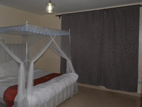 Globetrotters Haven — Nairobi — photo 3