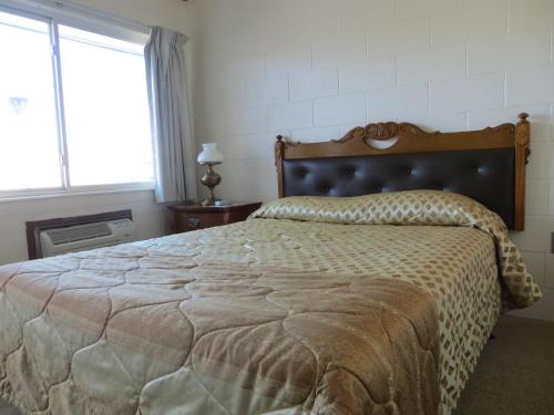 Alamo Inn - photo 14