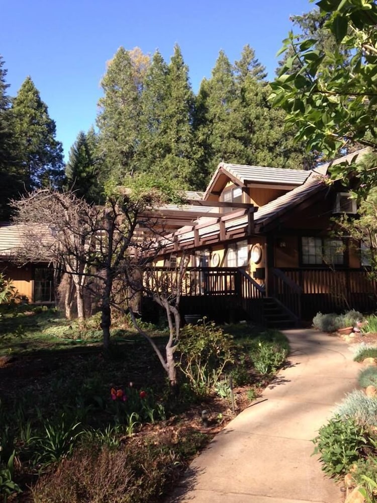 Harmony Ridge Lodge - photo 34