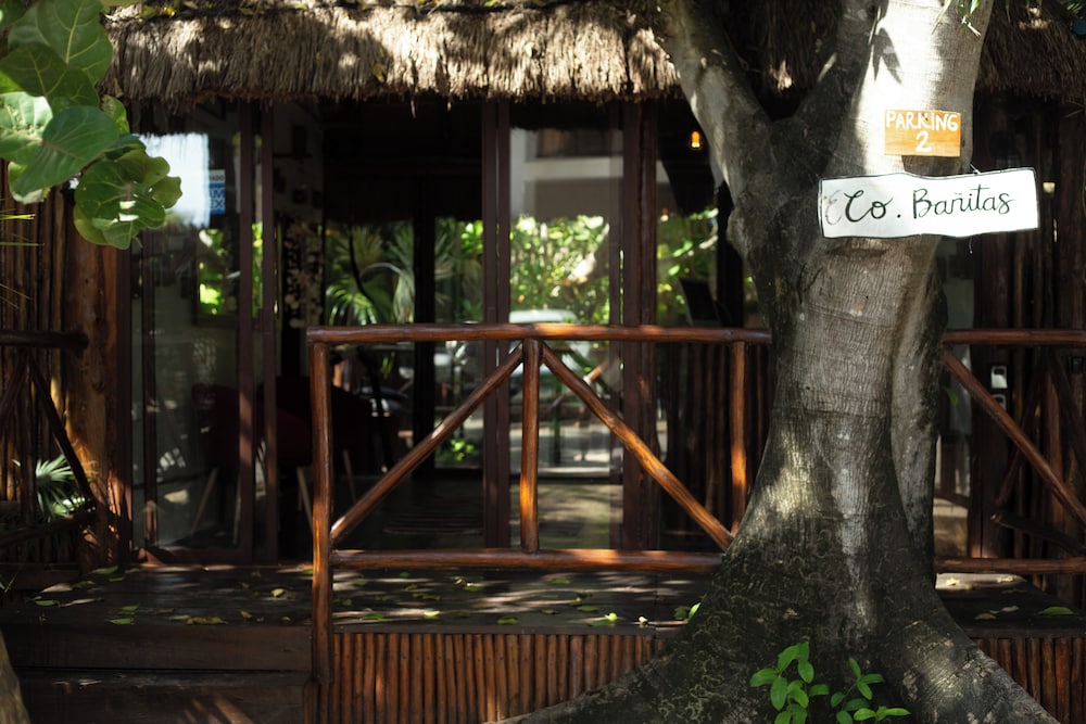 Eco.Bañitas - carbon neutral hotel in Tulum