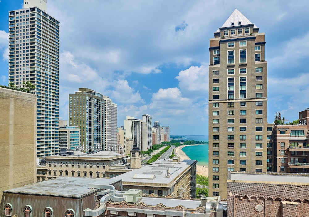 The Westin Michigan Avenue Chicago - photo 134