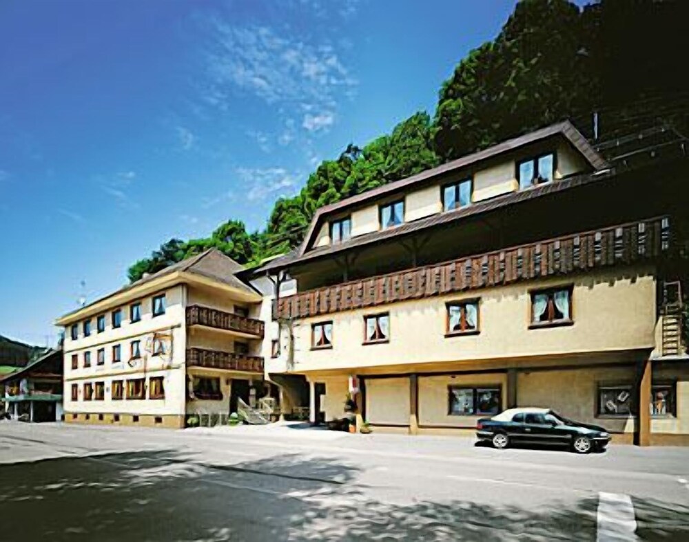 Gasthof Hotel Rebstock - carbon neutral hotel in Elzach