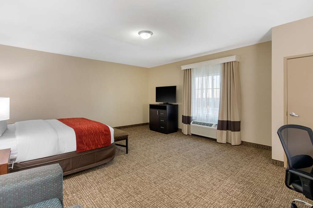 Comfort Inn & Suites Cedar Hill Duncanville - photo 26