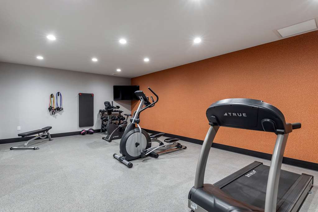Best Western Plus Amarillo East Hotel - photo 31
