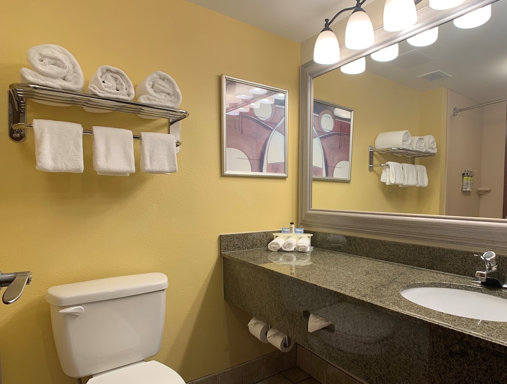 Holiday Inn Express & Suites Charleston Northwoods by IHG - photo 23