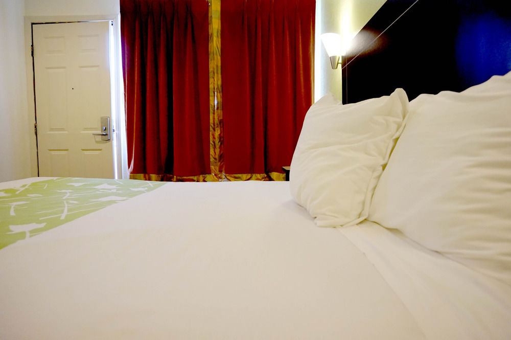 Piedmont Place - photo 12
