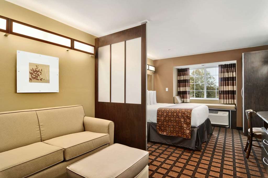 Microtel Inn & Suites by Wyndham Carrollton - photo 6