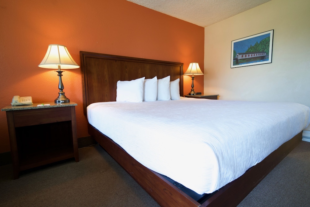 Village Inn Springfield - photo 16