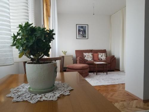 Super Central & Panoramic Leo's Apartment — 5-Star Luxury Hotel in Pristina, Kosovo