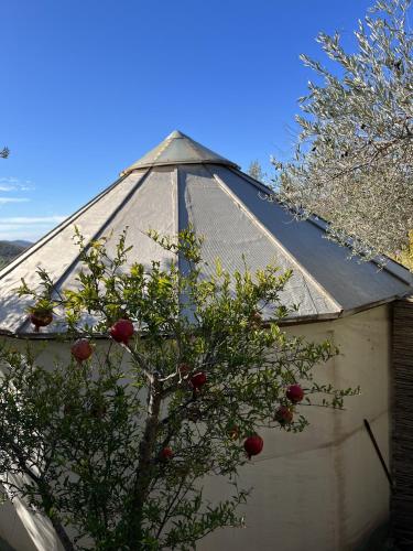 Cortijo alhijra small yurt in Lanjaron, Spain