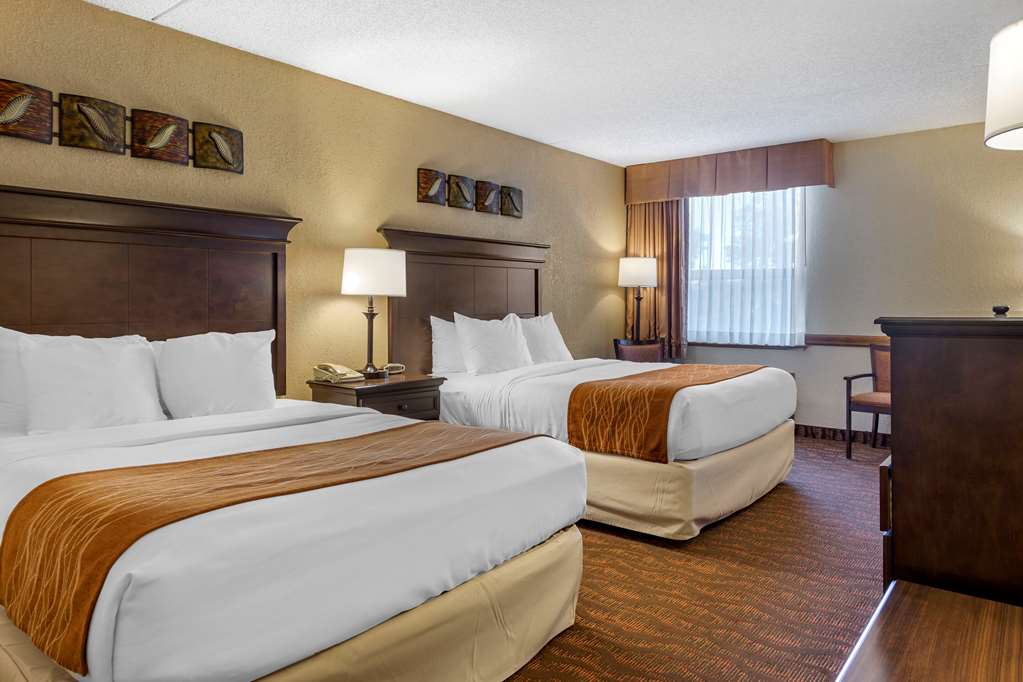 Comfort Inn at Thousand Hills - photo 12