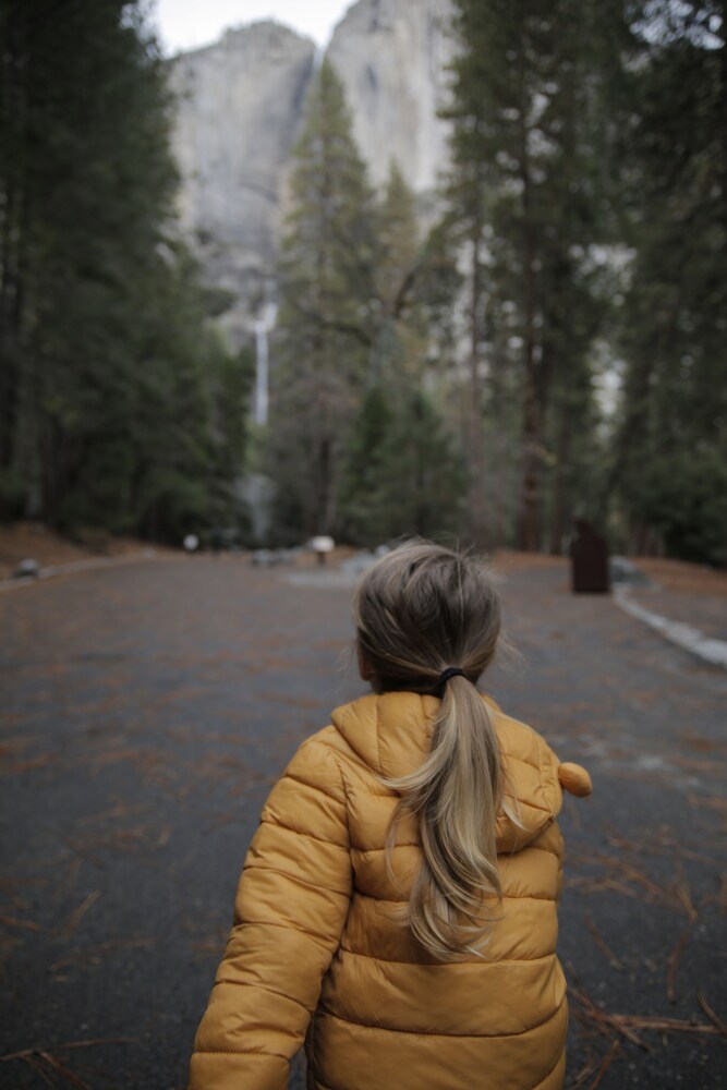 Tenaya at Yosemite - photo 192