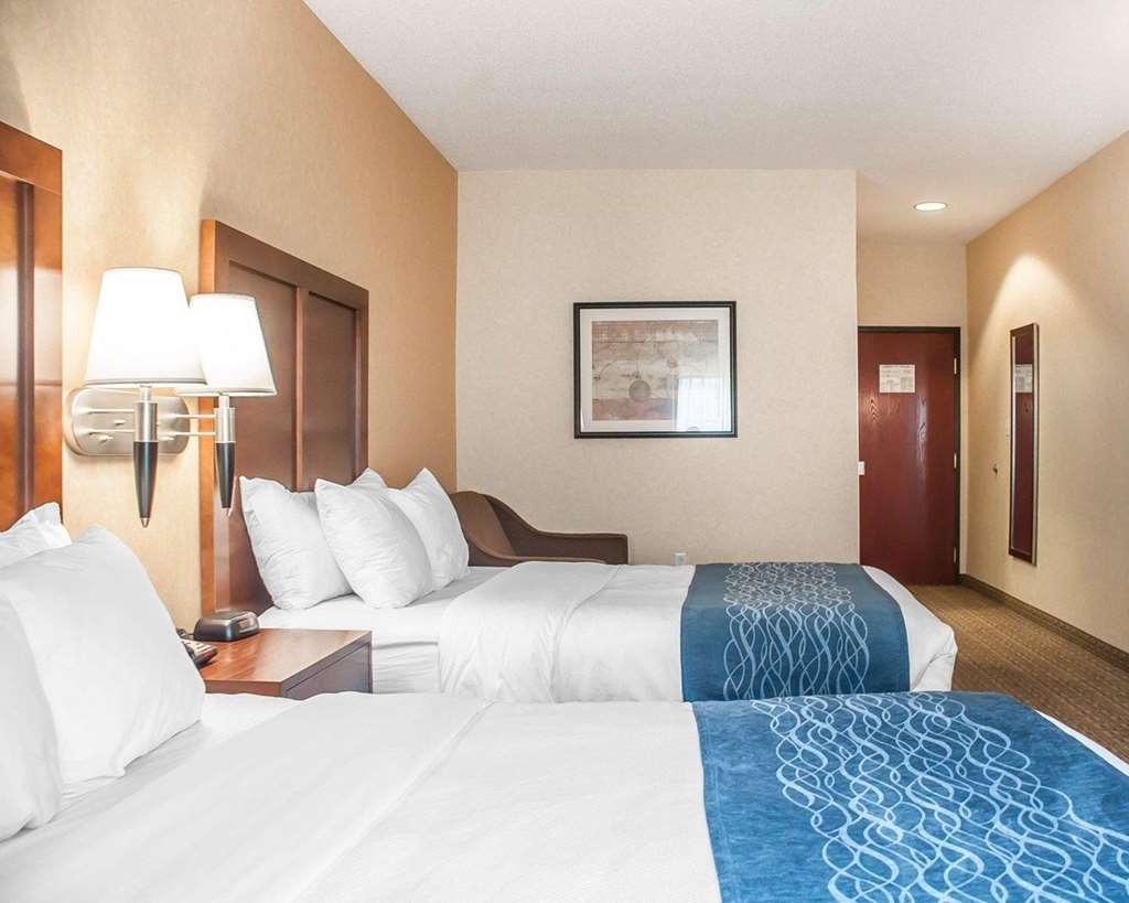Comfort Inn & Suites Hamburg Buffalo South - photo 14