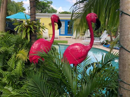 Calypso Inn Wilton Gay Male Resort - featured photo