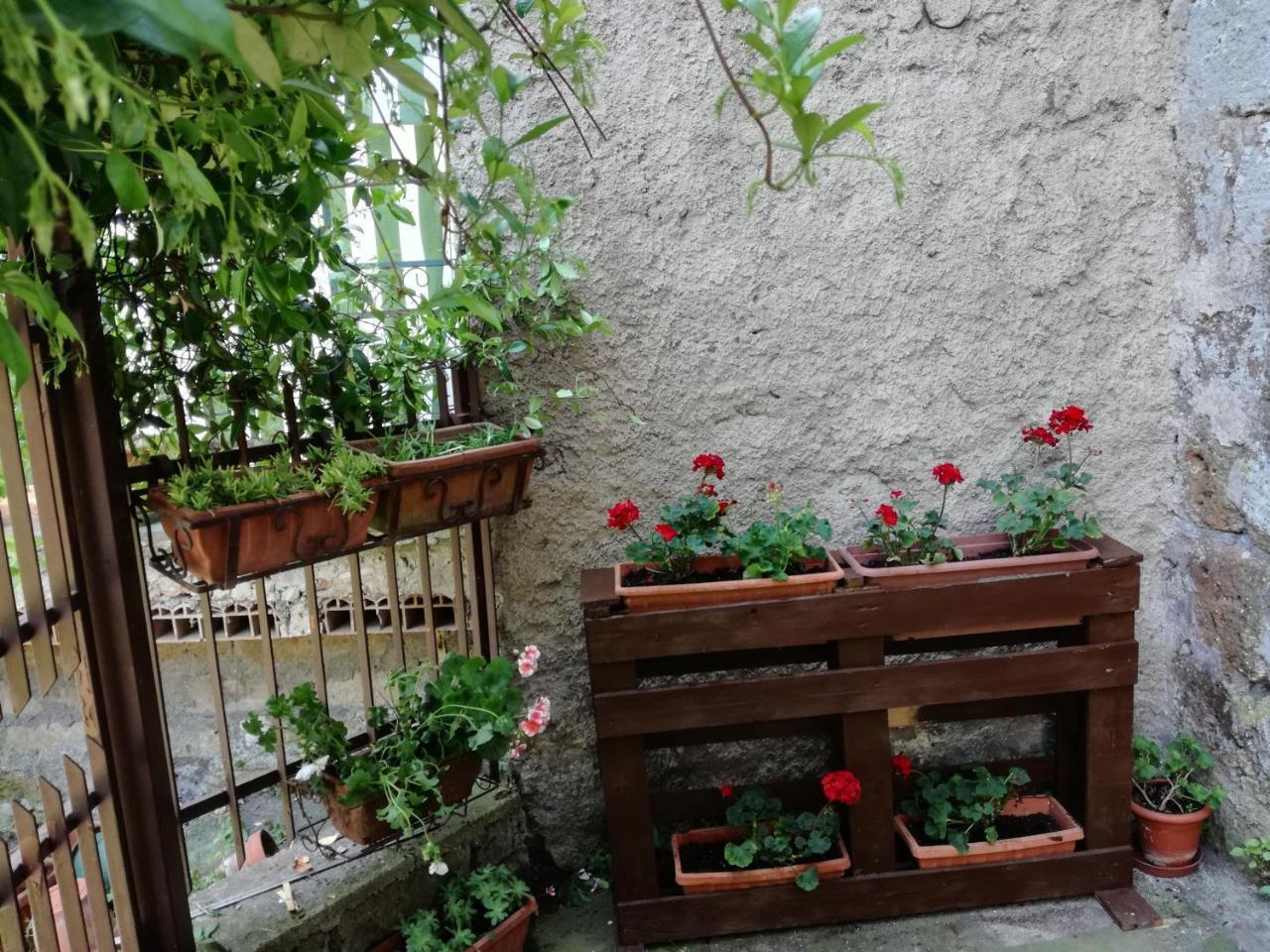 Casavacanze Salza Nel Borgo — Sutri — photo 5