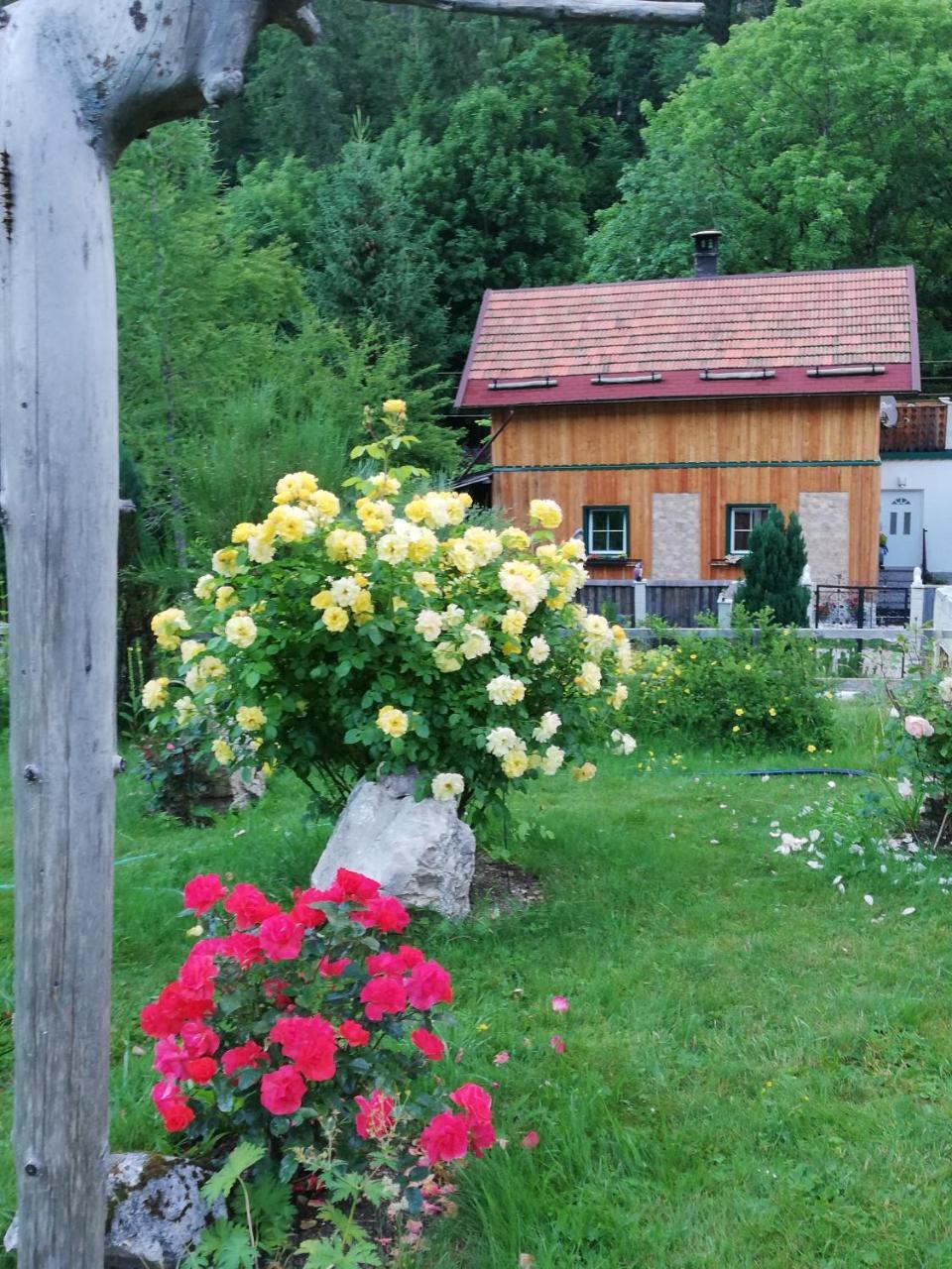 Altes Forsthaus am Bach in Altaussee, Austria
