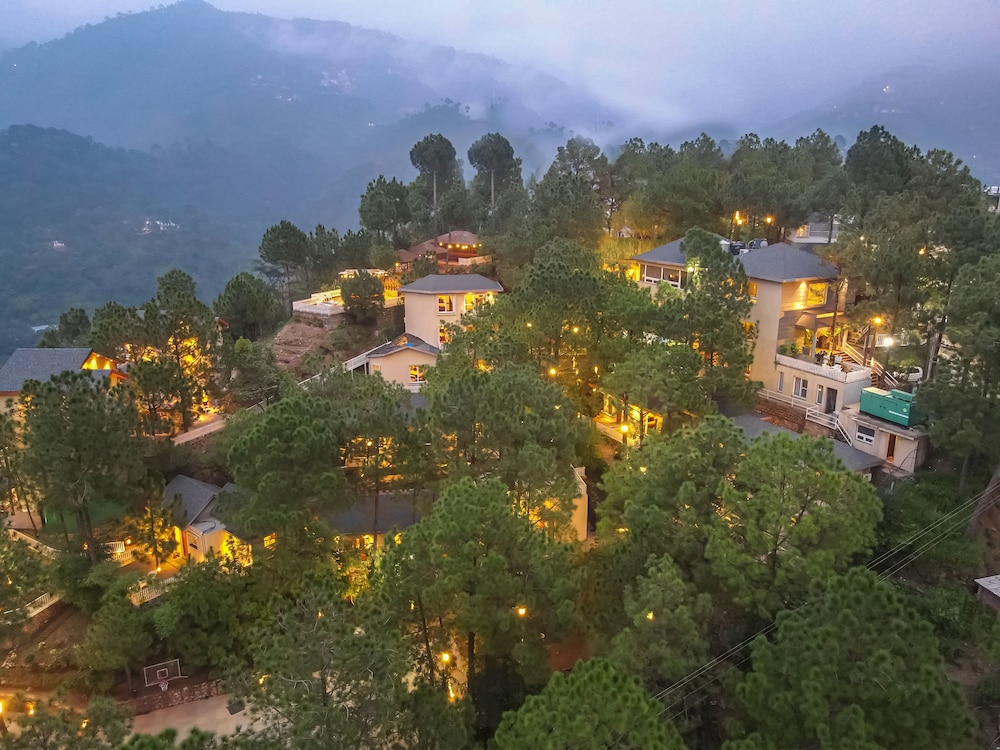 Jungle Lodge Resort in Kasauli, India