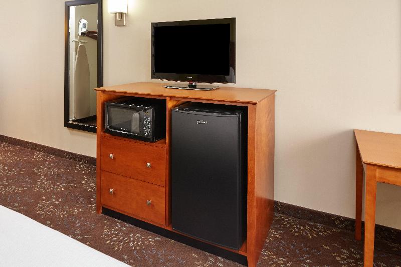 Holiday Inn Chicago Matteson Conference Center - photo 20
