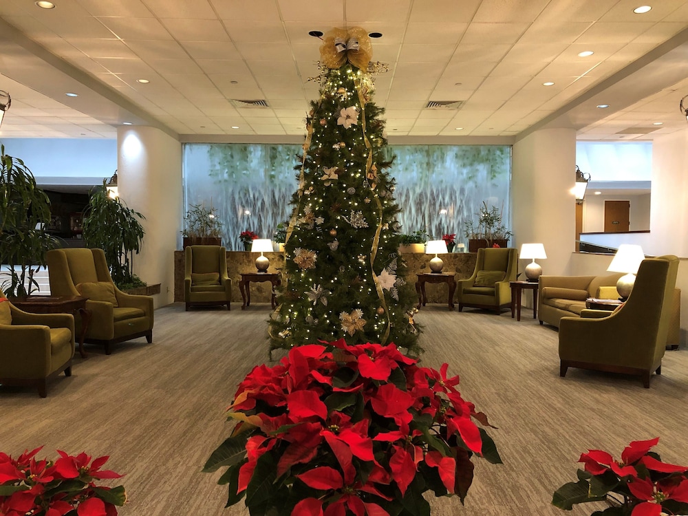 Capital Plaza Hotel - photo 3